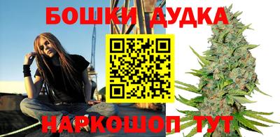 индика Северобайкальск