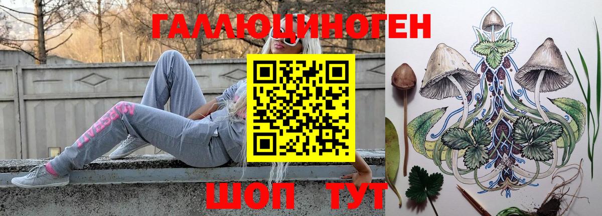Псилоцибиновые грибы Psilocybe Новочеркасск