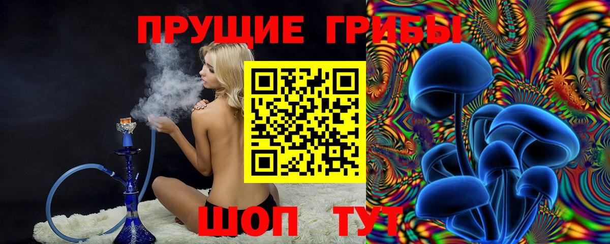 Новочеркасск  Галлюциногенные грибы GOLDEN TEACHER  что такое   Вход с VPN 